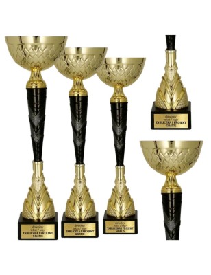 Nowoczesny Puchar 9299 w złoto-czarnej odsłonie