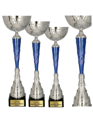 Widowiskowy Model 9300 – w srebrno-niebieskich barwach