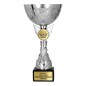 Nowoczesny Puchar 9305 w srebrnej formie