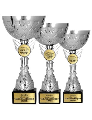 Nowoczesny Puchar 9305 w srebrnej formie