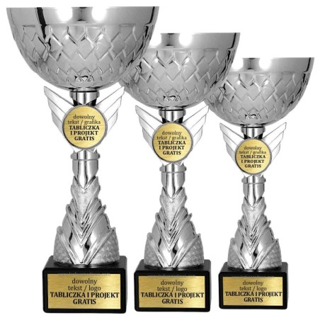 Nowoczesny Puchar 9305 w srebrnej formie