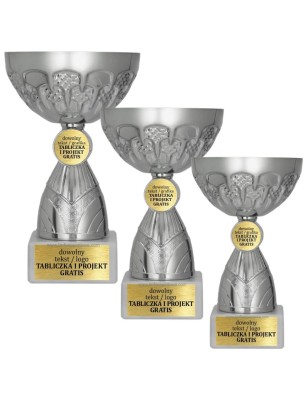 Pucharek sportowy 9307 w srebrnej odsłonie