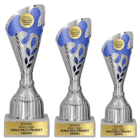 Puchar 9316 w srebrno-niebieskiej odsłonie