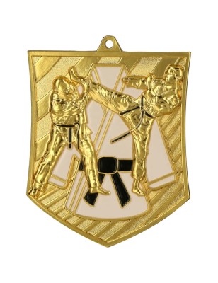 Medal karate sporty walki odlewany duży z emalią z tabliczką i szarfą
