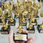 Złota Statuetka Wiktoria – Podziękowanie dla Rodziców na Ślub, Rocznica, Świadkowie F20g Złota Statuetka Wiktoria – Podziękowanie dla Rodziców na Ślub, Rocznica, Świadkowie F20g