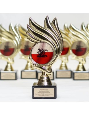 Statuetka z grawerem do szkoły, firmy, urzędu | Projekt Gratis