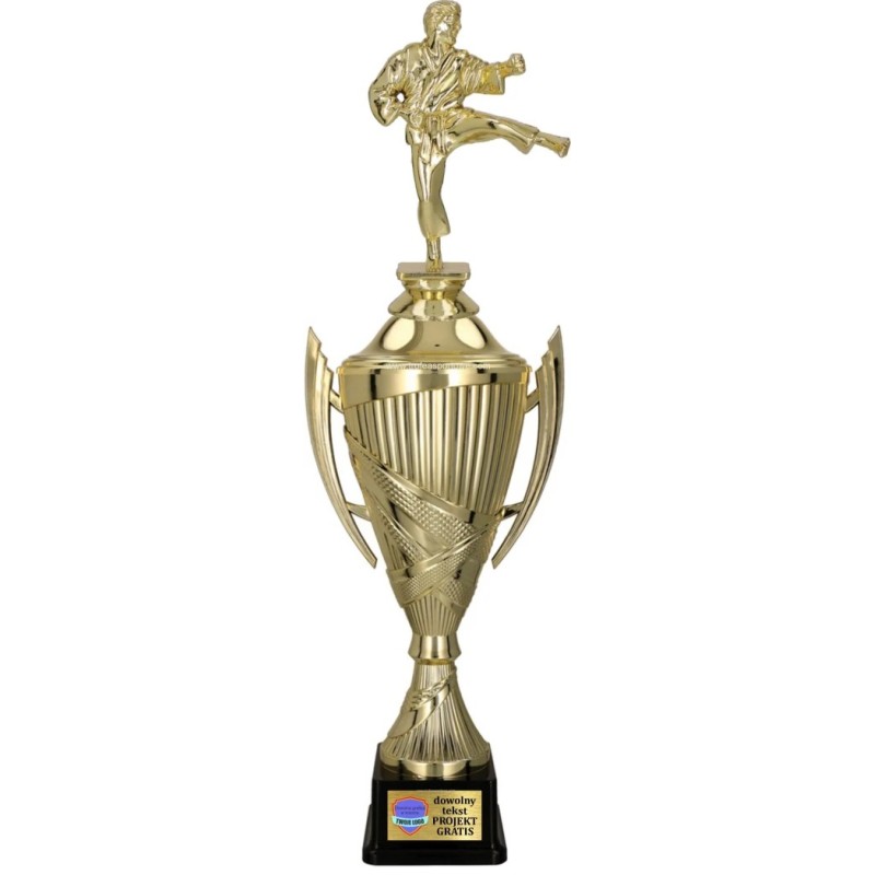 Złoty Puchar Sportowy z Figurką Karate i personalizacja w cenie Złoty Puchar Sportowy z Figurką Karate i personalizacja w cenie