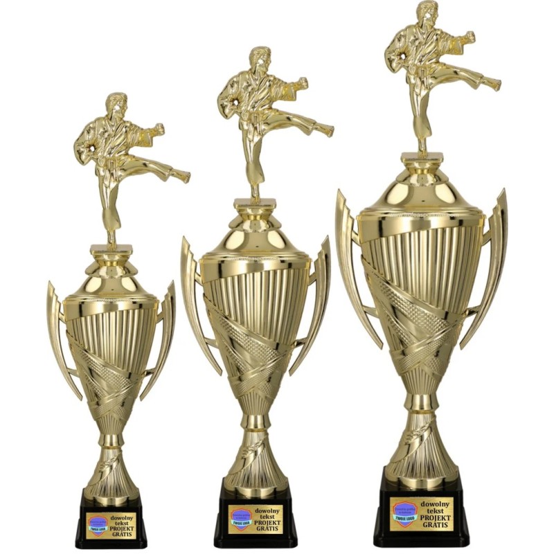 Komplet Pucharów Sportowych z figurką Karate 41-36-33 cm + tabliczka gratis Sztuki Walki