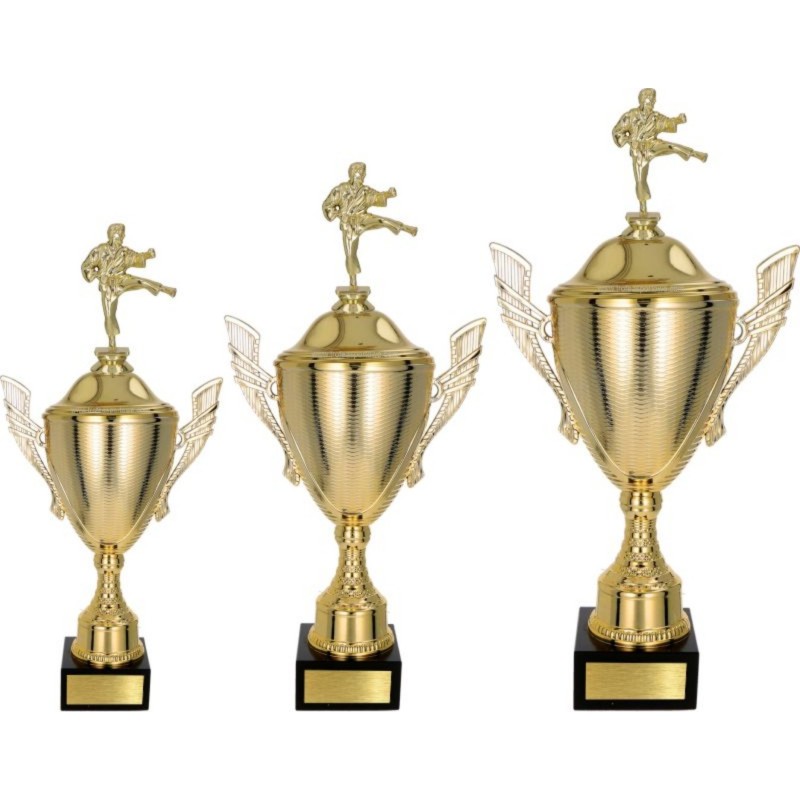 Zestaw pucharów NT733 z figurką karate 45-39-34 cm