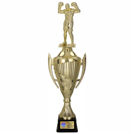 Komplet Pucharów Sportowych z figurką Boksera 44-39-36 cm + tabliczki w cenie Boks