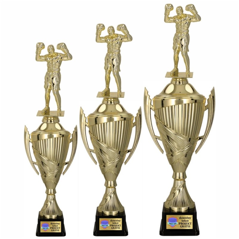 Komplet Pucharów Sportowych z figurką Boksera 44-39-36 cm + tabliczki w cenie Boks Komplet Pucharów Sportowych z figurką Boksera 44-39-36 cm + tabliczki w cenie Boks