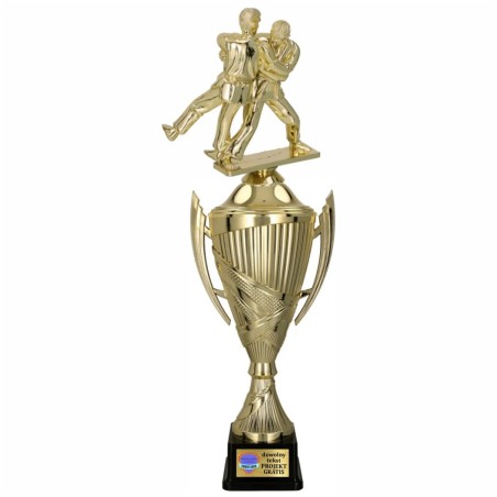 Komplet Pucharów Sportowych z figurką Judo 43-38-35 + grawer w cenie