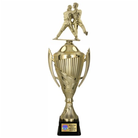 Zestaw Pucharów Sportowych z figurką Sztuk walk 43-38-35 cm + grawerki gratis Judo, Karate