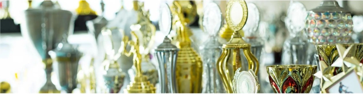 Puchary Sportowe i Okolicznościowe – Sklep Online | Trofea Sportowe