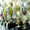 Trofea sportowe