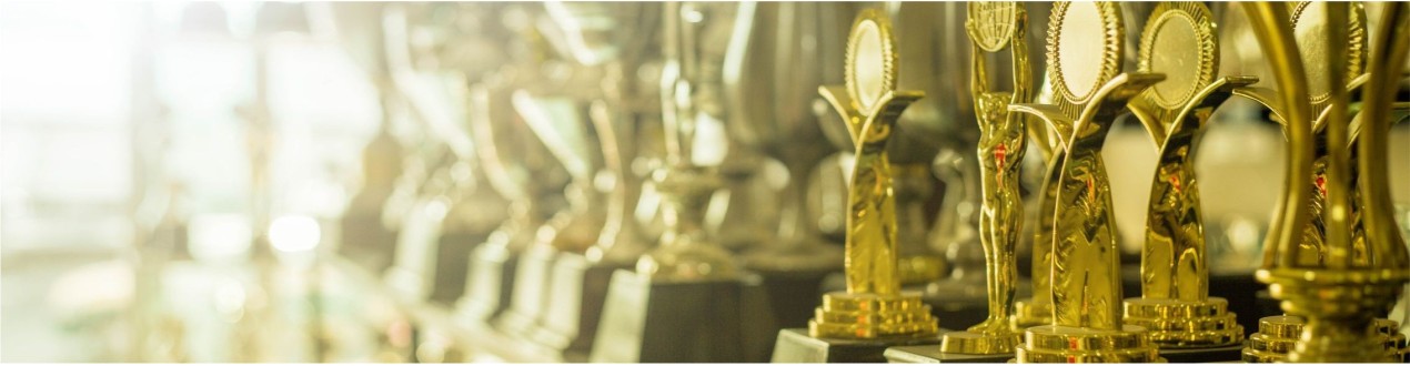 Statuetki – nagrody sportowe i firmowe z personalizacją